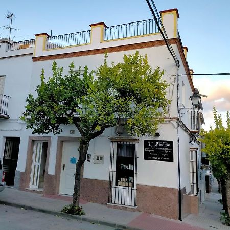 Vila Jacaranda Prado Del Rey Exteriér fotografie