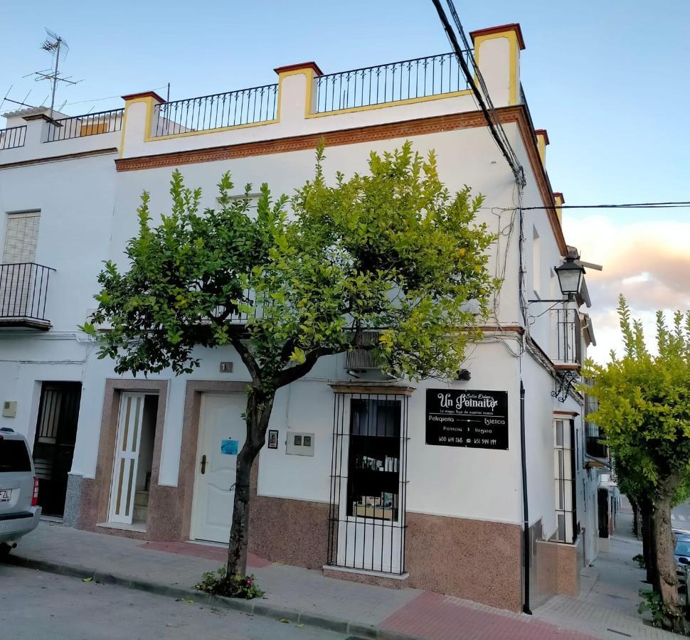 Vila Jacaranda Prado Del Rey Exteriér fotografie