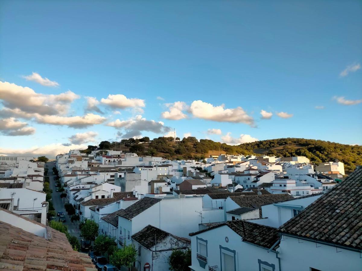 Vila Jacaranda Prado Del Rey Exteriér fotografie